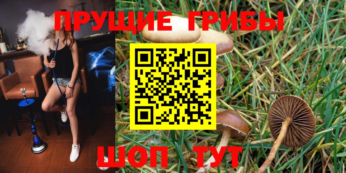 Галлюциногенные грибы MAGIC MUSHROOMS  Вход с VPN  Кинель  Галлюциногенные грибы MAGIC MUSHROOMS 